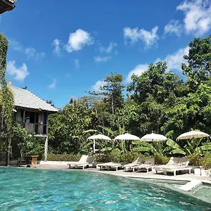 巴厘岛宾艮海滩波希住宿加早餐旅馆 住宿加早餐酒店 乌鲁瓦图
